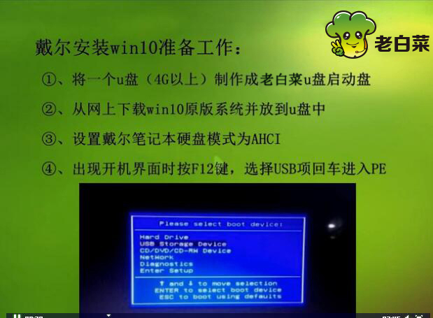 老白菜戴尔笔记本安装win10原版视频教程